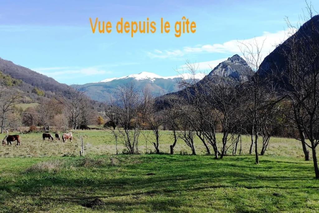 Grange En Pierres. Grand Jardin Et Belle Vue Villa Saurat Kültér fotó