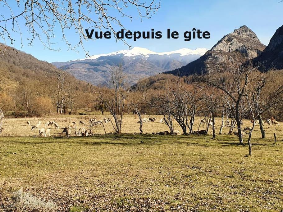 Grange En Pierres. Grand Jardin Et Belle Vue Villa Saurat Kültér fotó